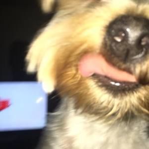 Meet your Posher, Derick